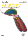 Cover Journal of Anatomy