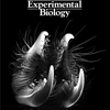 Cover of the Journal of Experimental Biology, October 2012