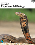 cobra on cover of Journal